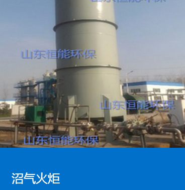 蜜桃网站入口在线观看脱硫